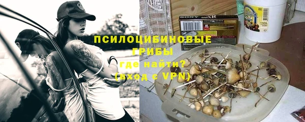 ALPHA PVP Аркадак